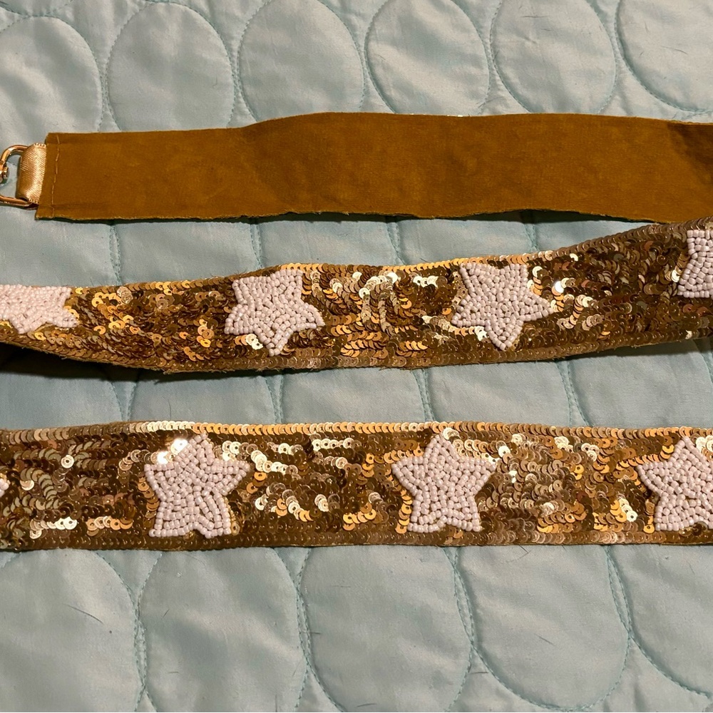 Purse strap